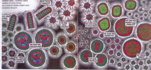 THE IMMUNE SYSTEM - Pictures